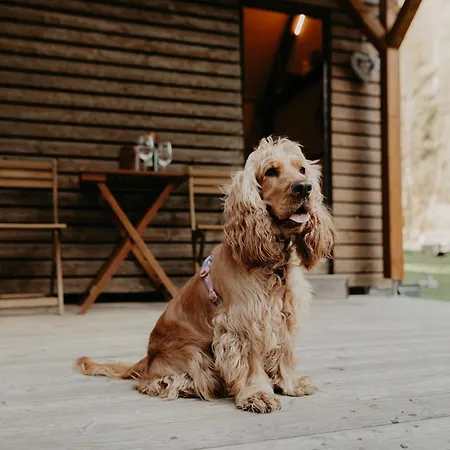 Glamping Všímarský Stream Prázdninový dům Malsin