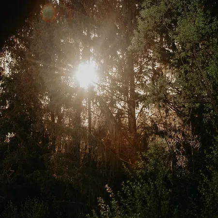 Prázdninový dům Glamping Všímarský Stream *